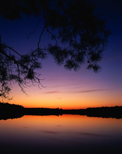 Maples, Sunset, Stockton Lake, Pine Barrens (MF).jpg